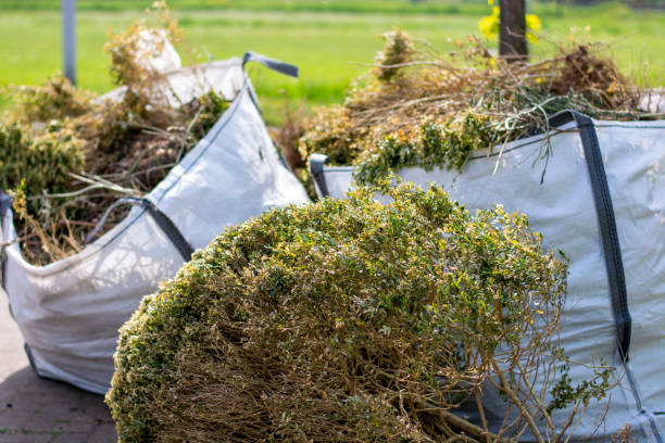 Best Junk Hauling Services  in Hoback, WY